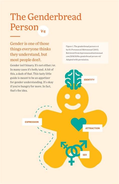 The Genderbread Person Y Gender Is One Of Those Figure The Genderbread Person Things Everyone