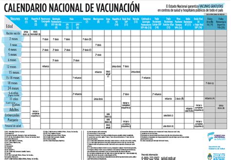 Este calendario está sujeto a cambios, en función de la llegada, aprobación y recomendación de uso de las distintas vacunas. Pin en Katherine Joaquina