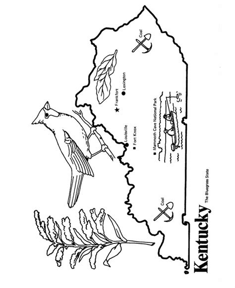 Usa Printables State Outline Shape And Demographic Map State Of