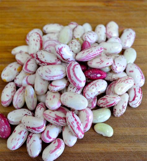 + 1/4 cup organic canola oil, divided 2 tbsp. Fresh Cranberry Beans with Olive Oil & Garlic | Recipe | Cranberry beans, Fresh cranberries, Beans