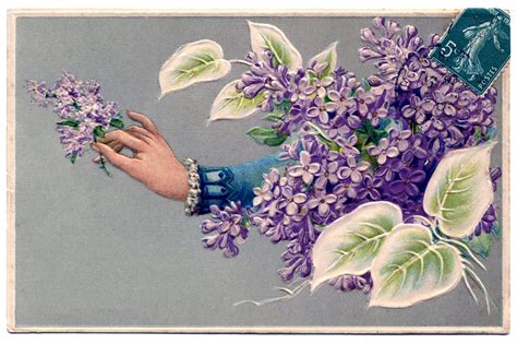 fashioned graphic ladies hand  lilacs