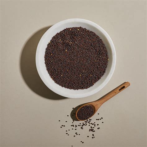 Brown Mustard Seeds Whole Mustard Seeds Spice House The Spice House