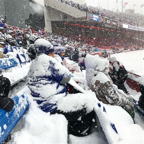 White Out Conditions Blanket The Field As Bills Play Colts Daily Mail