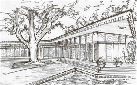 Sketsa gambar hewan mudah yang selanjutnya adalah domba. Sketsa Gambar Taman : Gambar sketsa bunga mawar termasuk ...