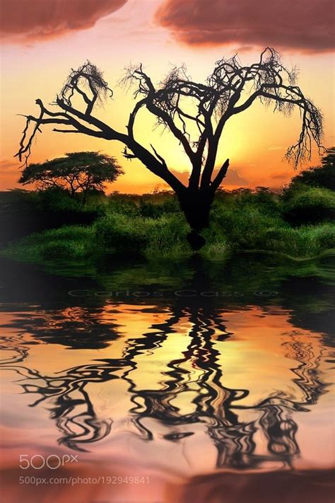 Popular On 500px Tanzania Sunset By Carloscass Beautiful Photos Of