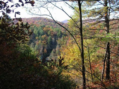 Fall Foliage On A Hiking Trail On The Appalachian Trail Stock Photo