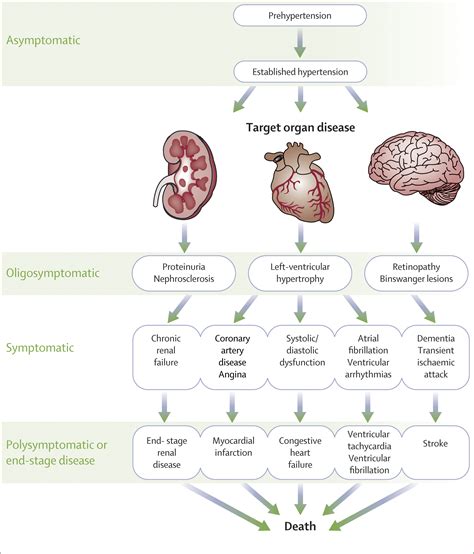References In Essential Hypertension The Lancet