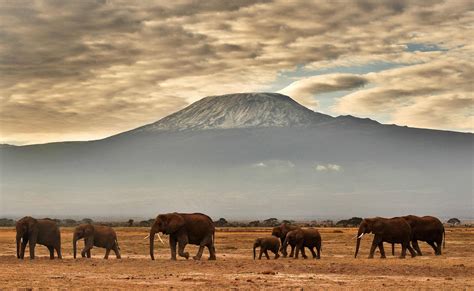 Monte Kilimanjaro é O Ponto Mais Alto Da África 12082019 Mundo