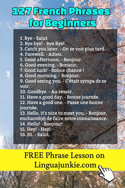 FREE Phrase Lesson on Linguajunkie.com / 127 French Phrases for ...