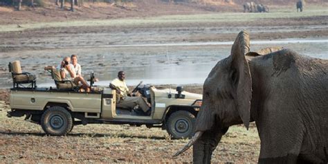 Tips For Tipping On Your Safari Holiday