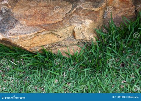 Rock And Grass Stock Photo Image Of Outside Grass Contrast 11951038