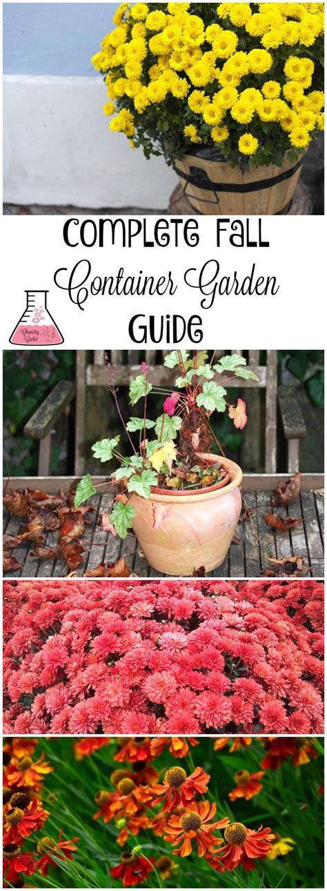 The Complete Fall Container Garden Guide In Three Steps The Easiest