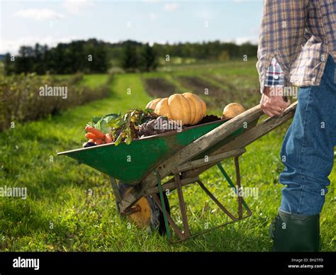 Man With Wheelbarrow Stock Photo Alamy