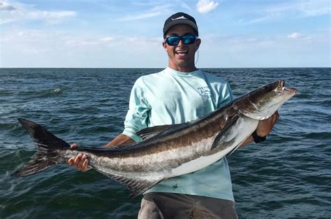 How To Fish For Cobia In Florida The Complete Guide For 2023