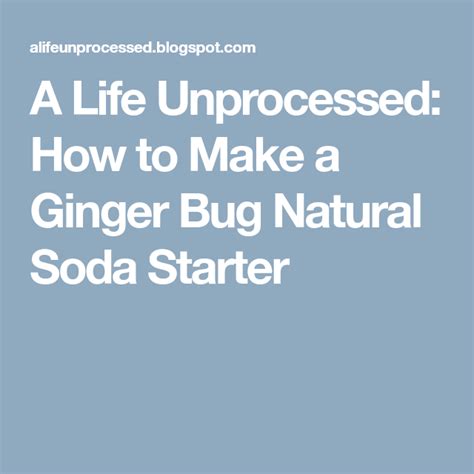 A Life Unprocessed How To Make A Ginger Bug Natural Soda