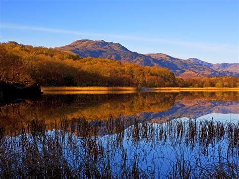 Scotlands Trossachs National Park In Autumn Lake Pictures Vacation