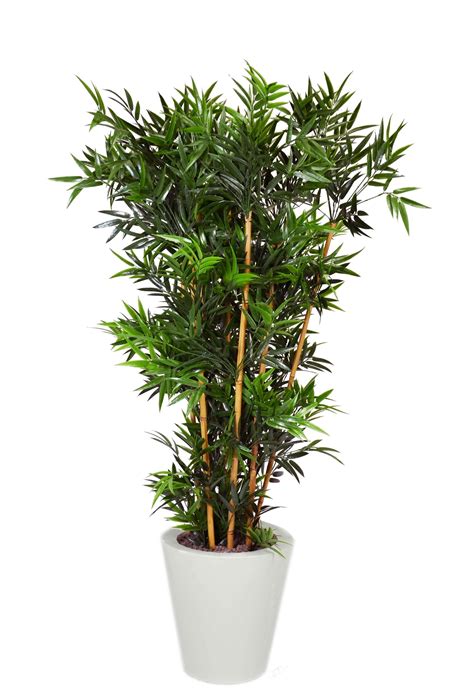 Ci sono piante giapponesi da vaso, altre da giardino, altre ancora che si adattano a tutte le situazioni regalandoci la loro bellezza. Bamboo | Piante Artificiali da esterno/interno | Viridium