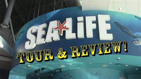 Sea Life Aquarium Orlando I Drive 360 Complete Tour And Review Youtube