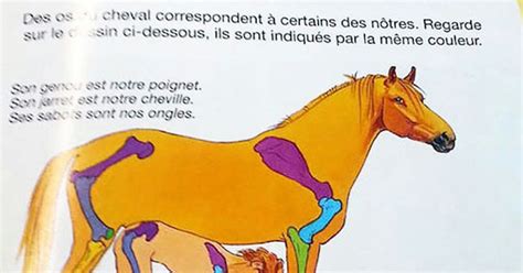 This French Anatomy Book Has Chosen An Odd Way To