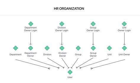Hierarquia Da Organização De Rh