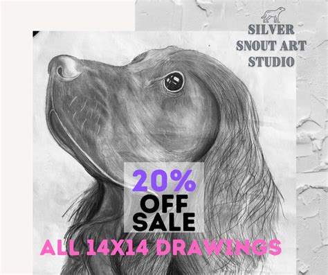 Silver Snout Art Studios Home