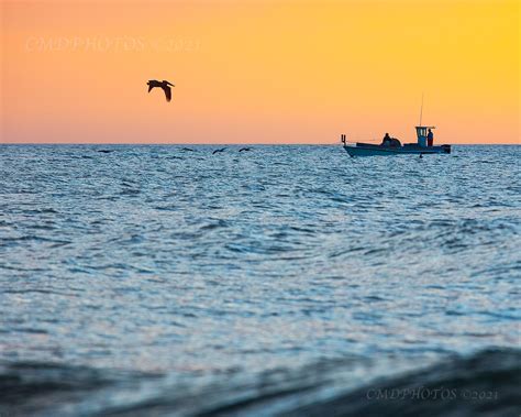 Sweet Pea Photography Myrtle Beach Cmdphotos Blog Lasenseanzasdemrcooper