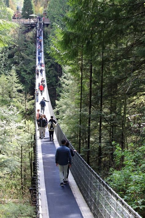 Capilano Suspension Bridge Park Editorial Image Image Of Cross