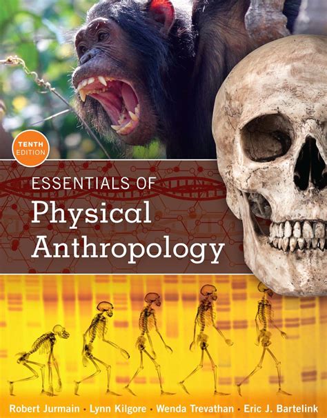 Through The Lens Of Anthropology An Introduction To Human Evolution