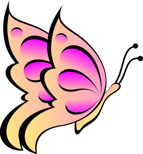 Gambar Drawn Butterfly Kupu Pencil Color Pin Gambar Vektor Di Rebanas