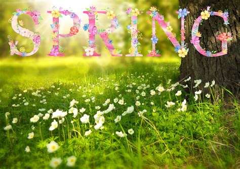 The Meaning And Symbolism Of The Word Spring