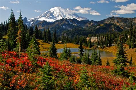 Den Mount Rainier National Park In Washington Erleben Canusa