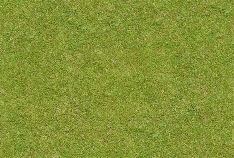 Free 23 Seamless Grass Texture Designs In Psd Vector Eps