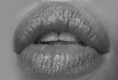 macro lips close up woman mouth isolated on white beauty mouth stock image image of mouth
