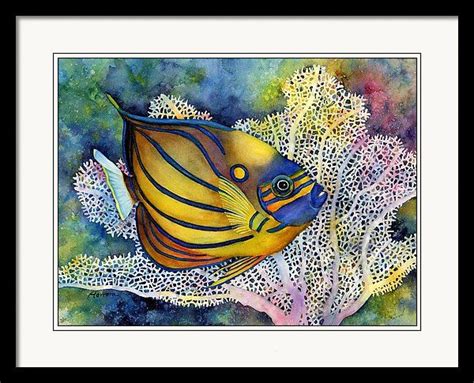 Blue Ring Angelfish Framed Print By Hailey E Herrera Sea Life Art