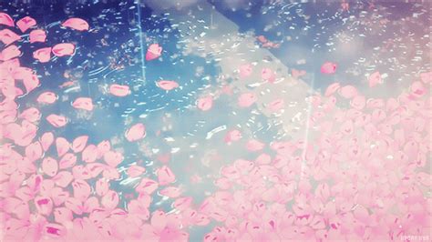 11 Anime Scenery Cherry Blossoms Wallpaper Baka Wallpaper