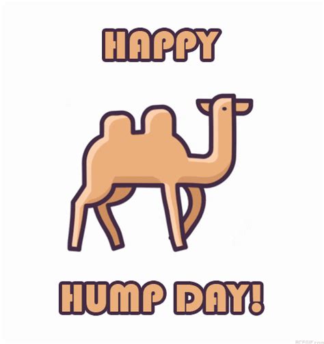 Happy Hump Day S 100 Animated Greeting Cards For Free