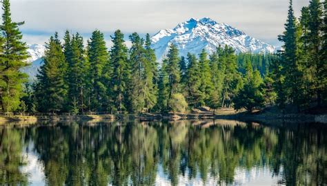 1407x800 Nature Landscape Lake Forest Mountain Snowy Peak Water
