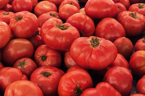 Vr Moscow Tomato Seeds Heirloom Hometown Seeds