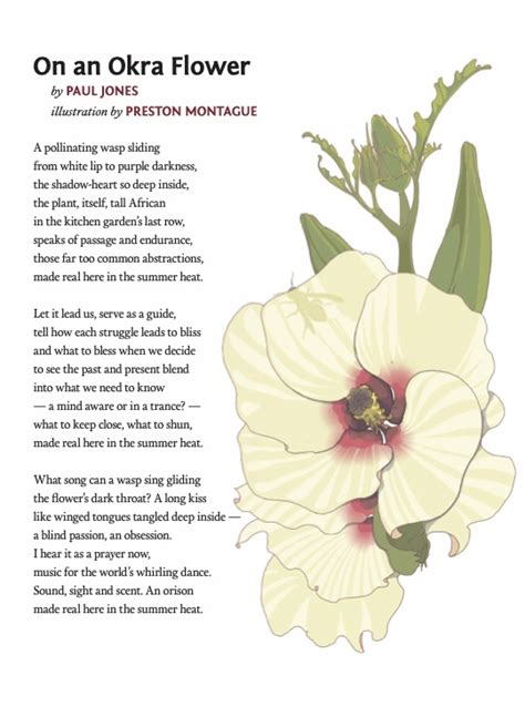 July Poem Of The Month On An Okra Flower Walter Magazine