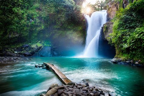 Waterfall Hidden In The Tropical Jungle Nature Wallpaper