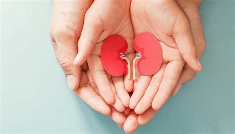 Organ Donation Kidney Transplant And The Need For Living Donors