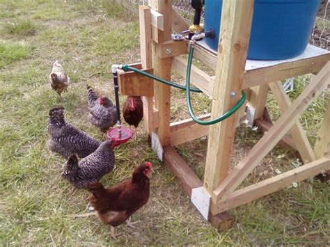 Gallino, the chicken system is an entire universe of creativity. DIY Automatic Chicken Watering System - The Prepared Page