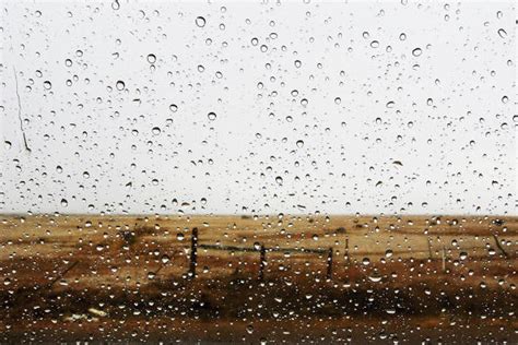 Rain Raises Hope In Drought Stricken Area Stateimpact Texas