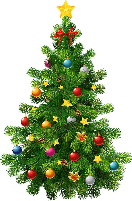 Sapin De Noël Png Christmas Tree Arbol De Navidad Png