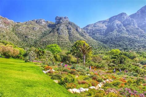 Jardín Botánico Nacional Kirstenbosch Ciudad Del Cabo Sudáfrica