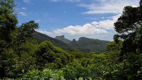 5 Activités Pour Découvrir Le Parc National De Tijuca Le Blog Brésil