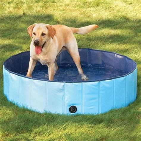 Summer Foldable Dog Swimming Pool Dog Pool Dog Swimming Pools Dog