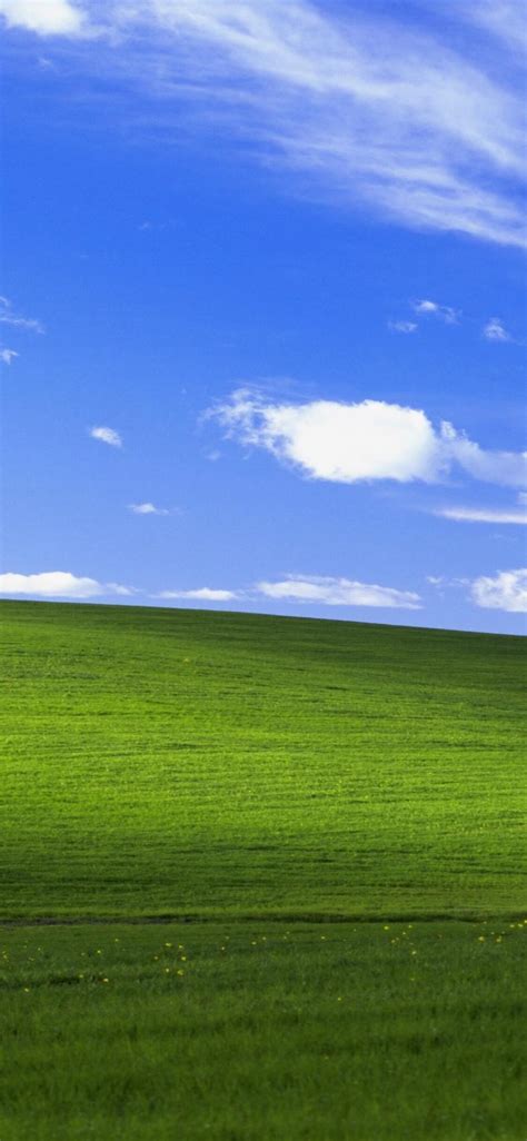 Windows Xp Background Photo Nostalgic And Classic Wallpapers