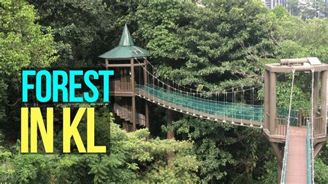 Top things to do in kota damansara community forest reserve. Canopy Walk at KL Forest Eco Park | WHAT TO DO IN KUALA ...