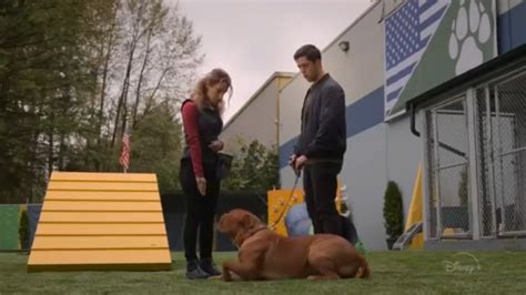 Disney Turner And Hooch Is Off To A Strong Start Review